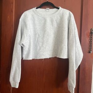 Gray Cropped Sweatshirt